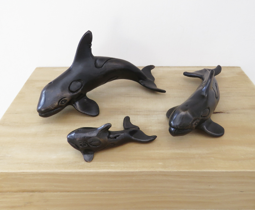 Orca bronze hot sale