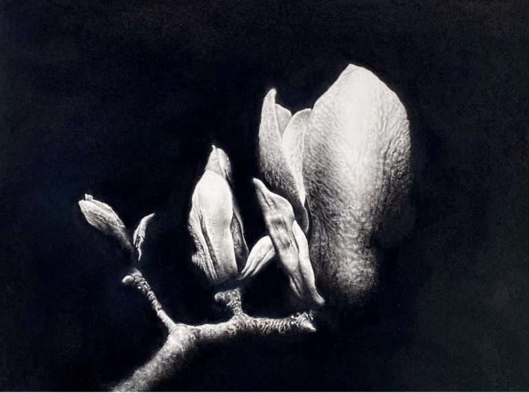 Margaret Emsley - Stronger - Charcoal